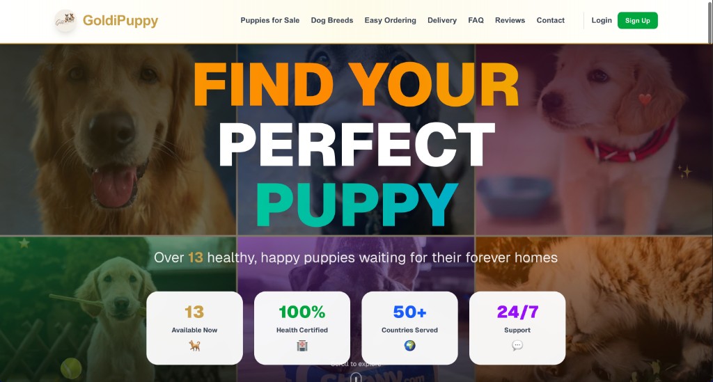 GoldiPuppy